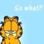 66ebfa4b5fe5dgarfield so what