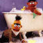 6722580dd7567bert and ernie