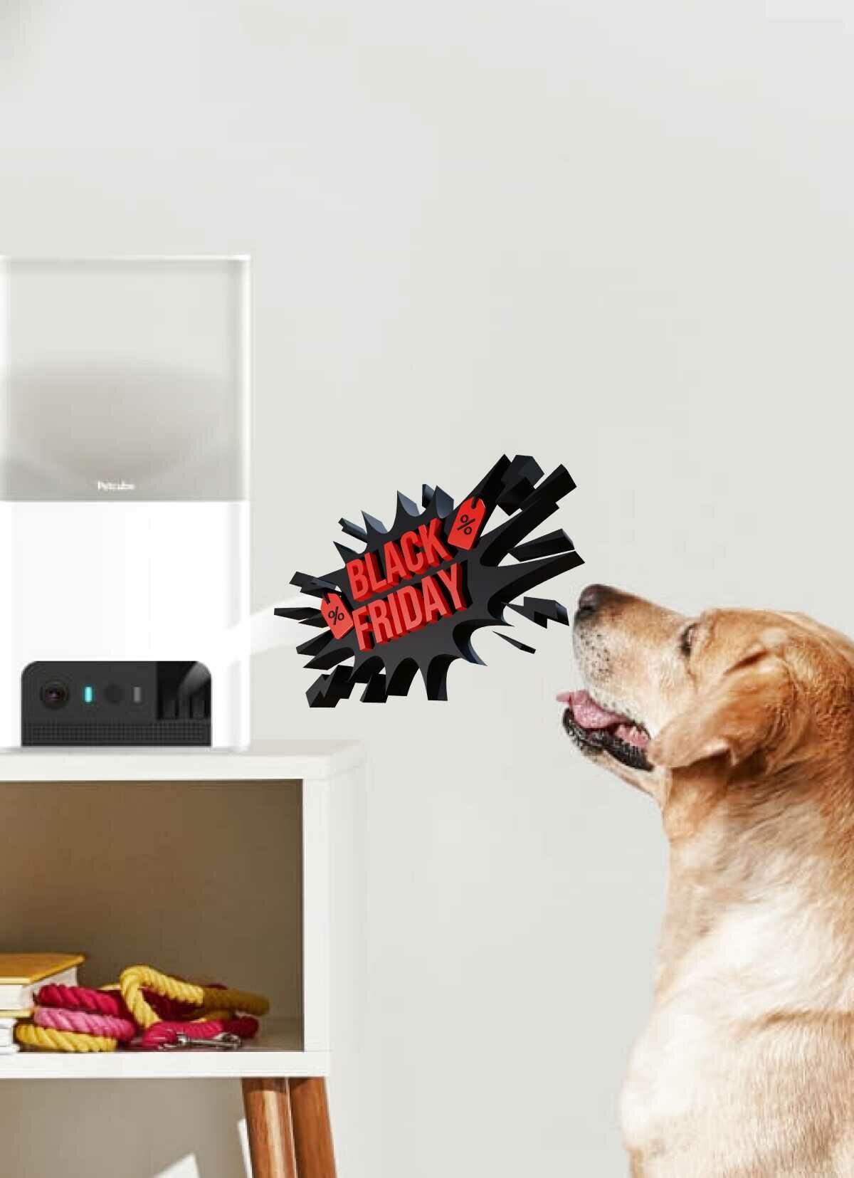 petcube bites 2 pet camera with treat dispenser black friday