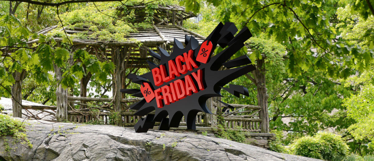 summerhouse black friday